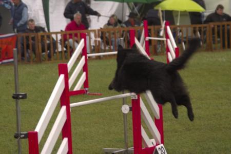 Agility